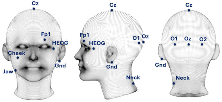 Figure 3
