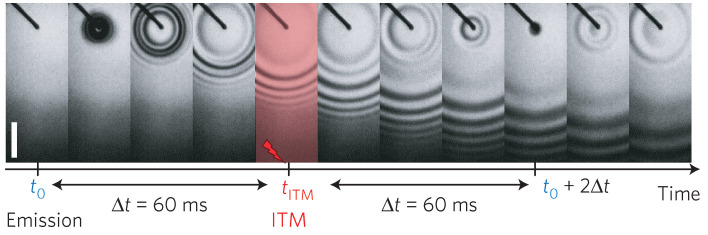 Figure 32