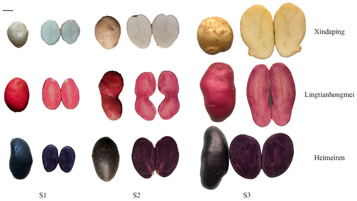 Figure 10