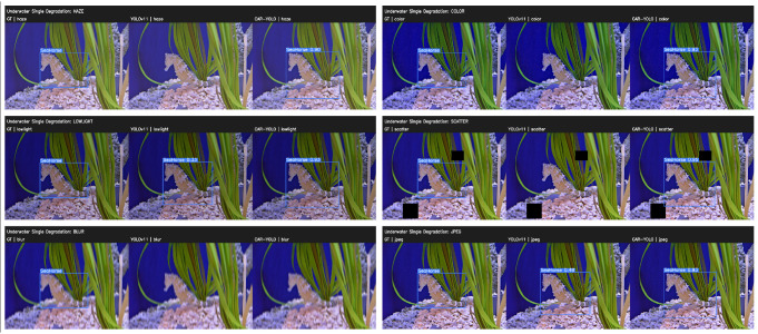 Figure 19