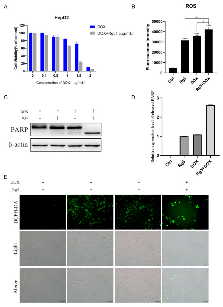 Figure 5