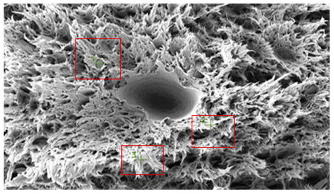 Figure 10