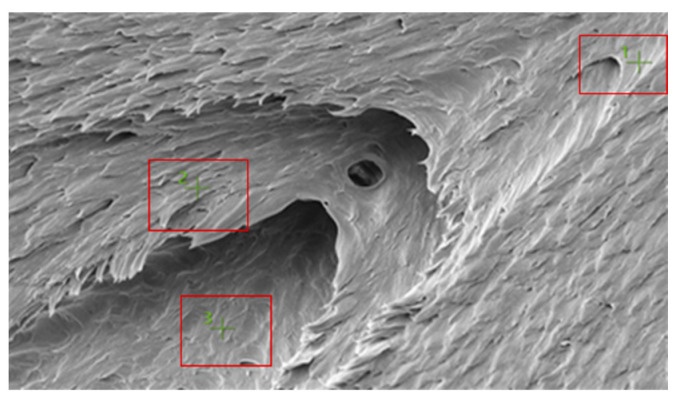Figure 13