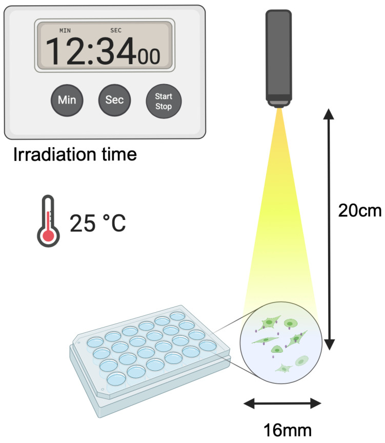 Figure 11
