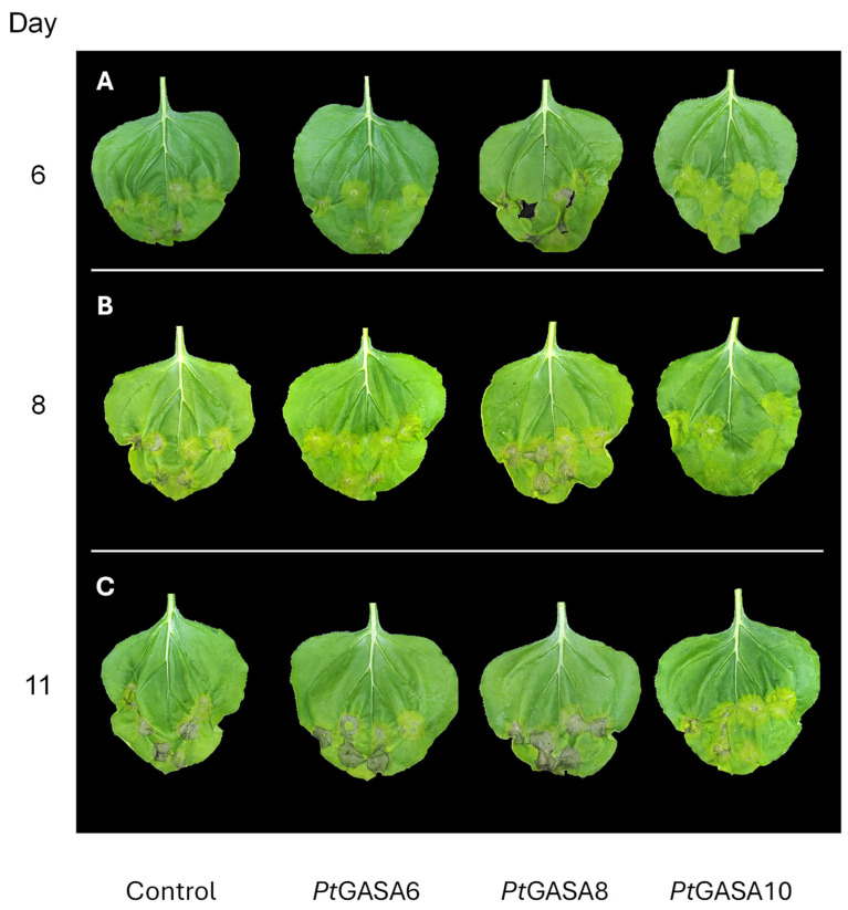 Figure 6