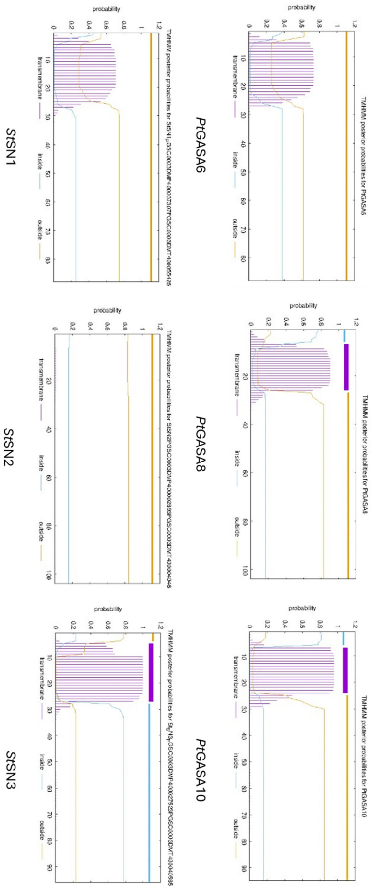 Figure 15