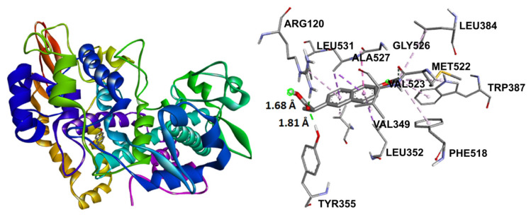 Figure 10