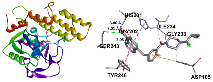 Figure 13