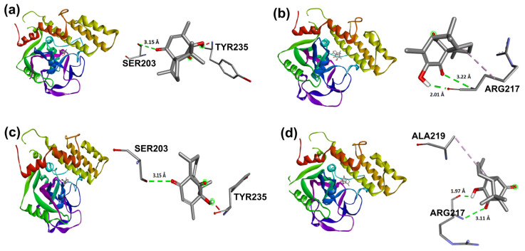 Figure 14