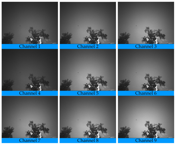 Figure 7