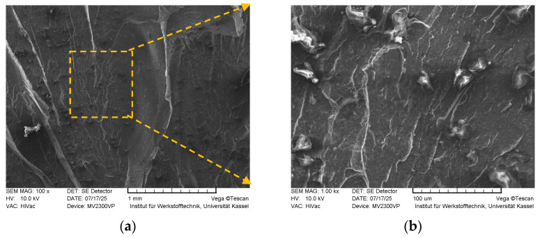 Figure 20