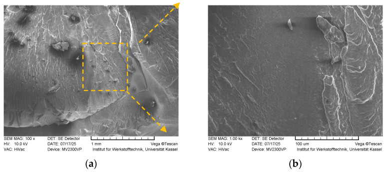 Figure 21