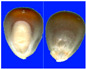 Figure 23