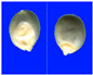 Figure 27