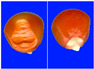 Figure 34