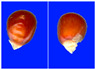Figure 38