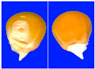 Figure 46