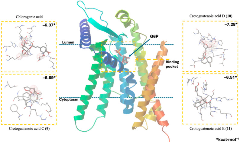 Figure 4