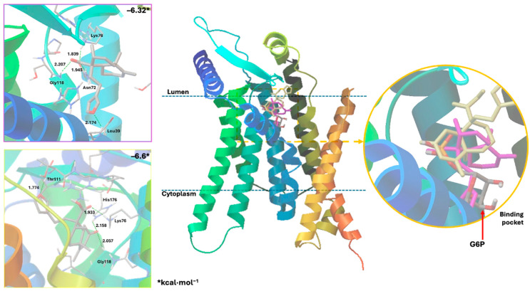 Figure 6
