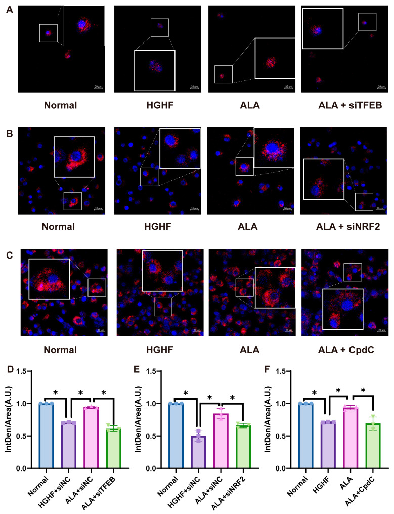 Figure 12