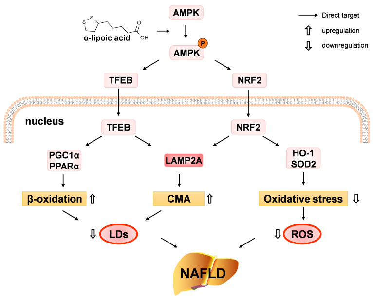 Figure 16