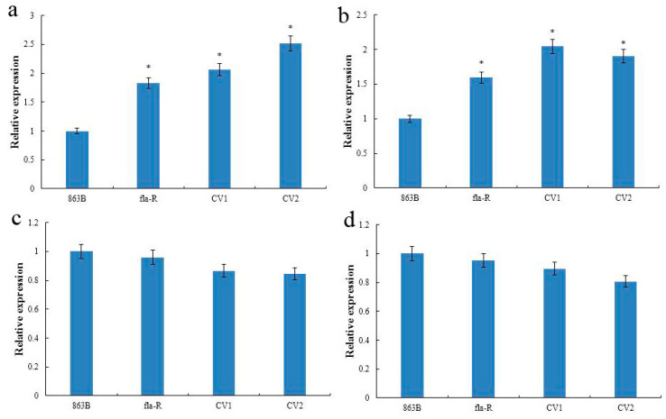 Figure 10
