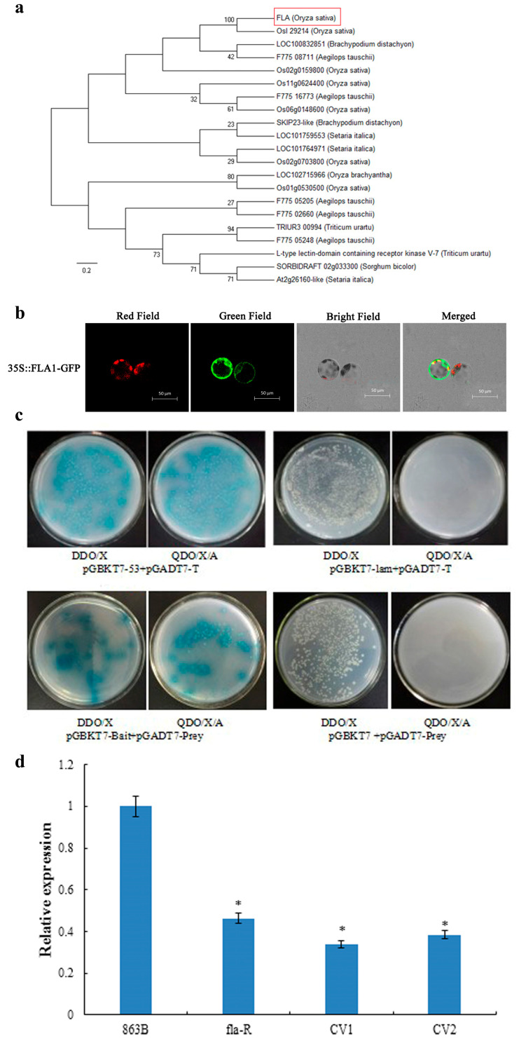 Figure 11