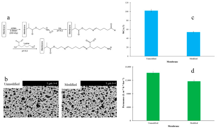Figure 20