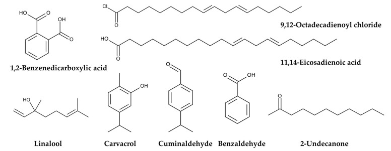 Figure 10