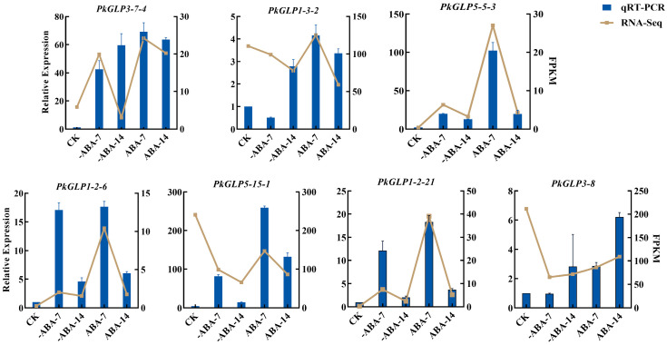 Figure 7