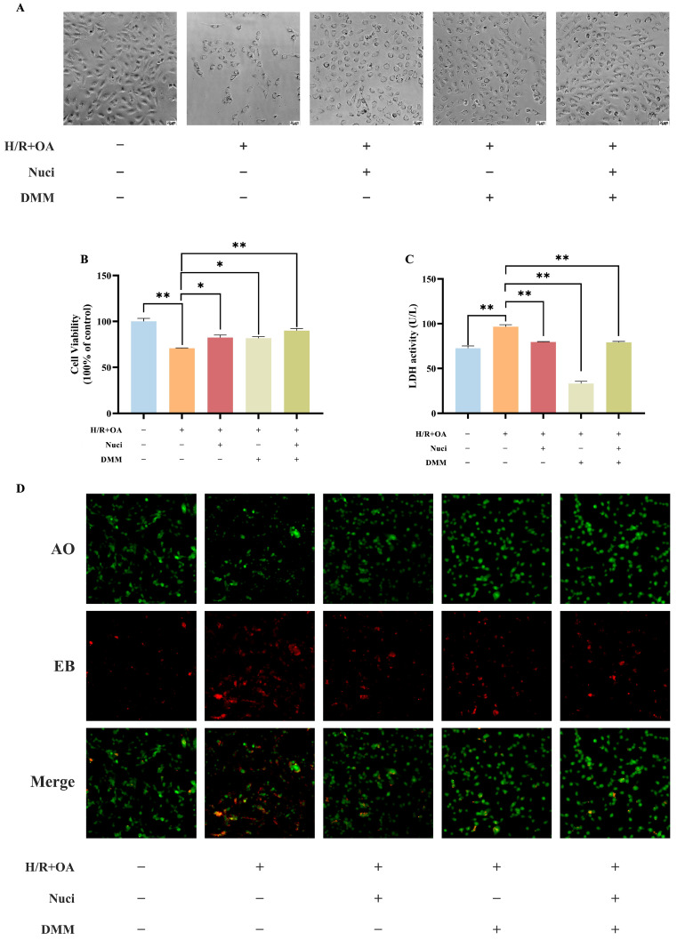 Figure 12