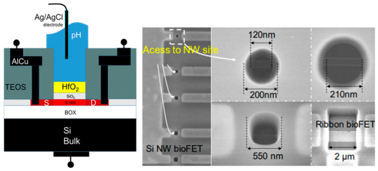 Figure 7