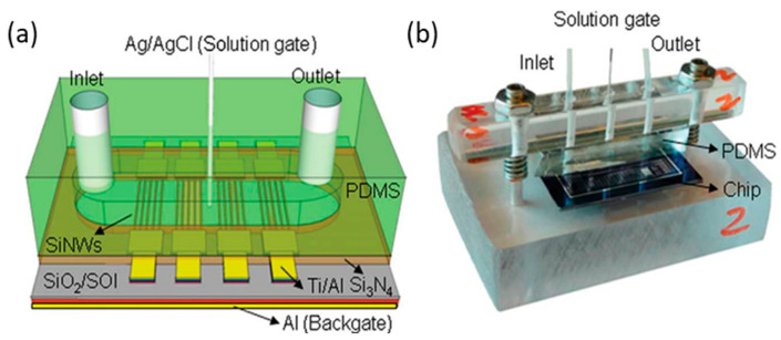 Figure 10