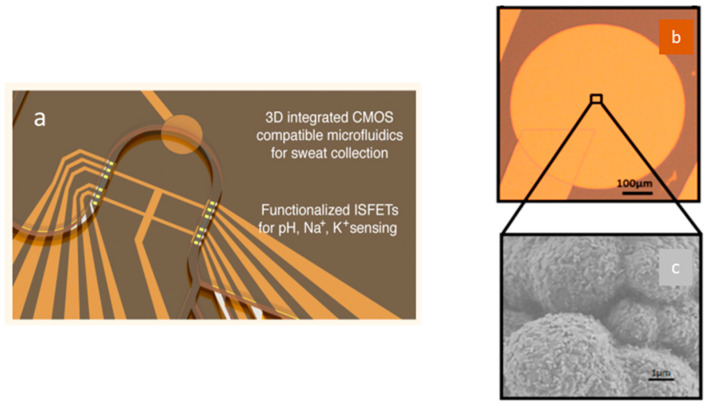 Figure 14