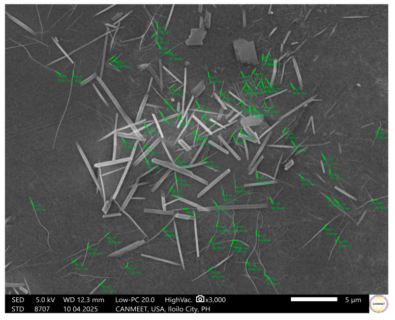 Figure 12