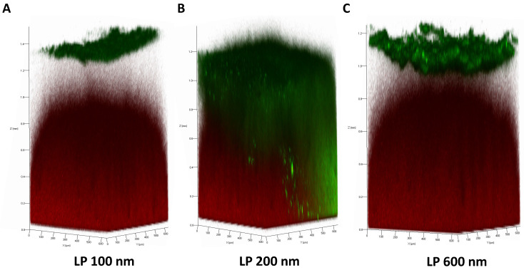 Figure 6