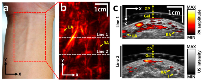 Figure 6