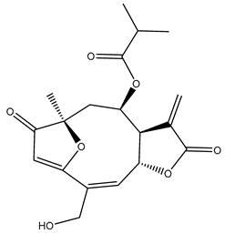 Figure 37