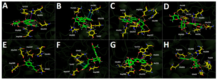 Figure 10