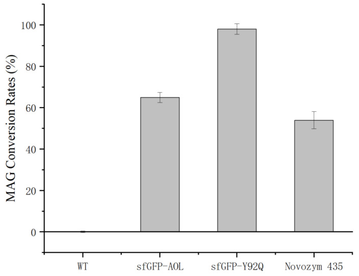 Figure 11