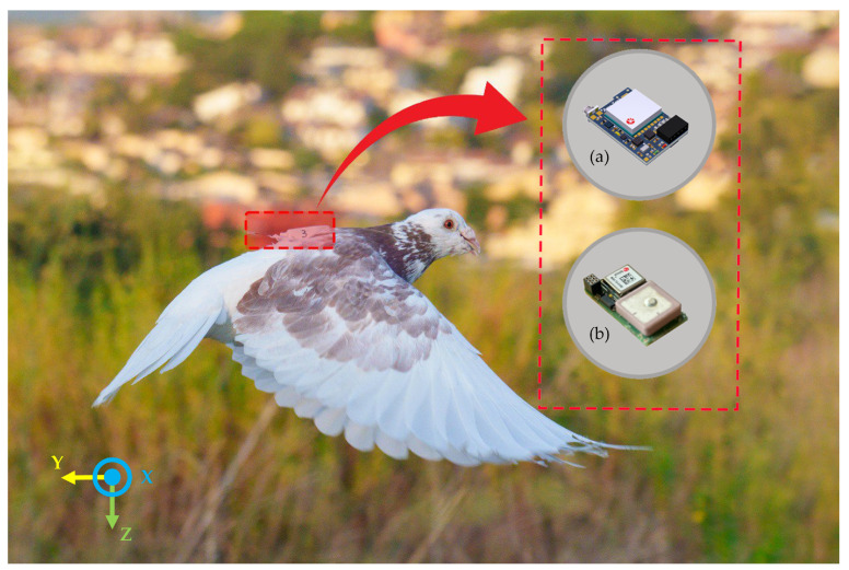 Figure 2
