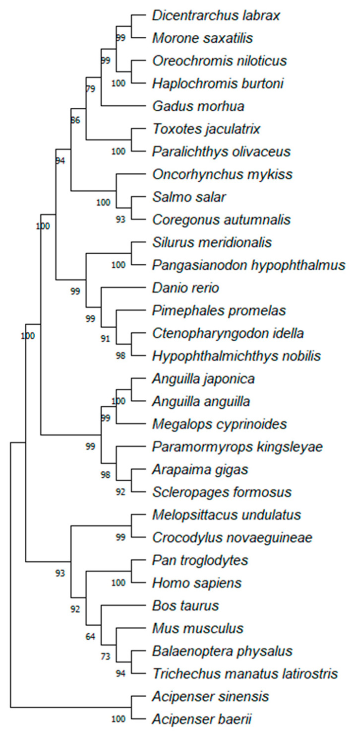 Figure 6