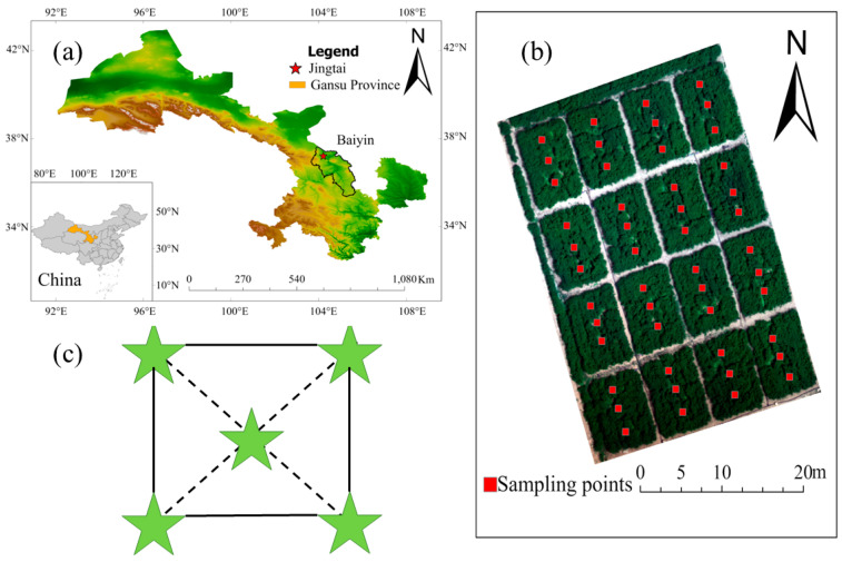 Figure 11