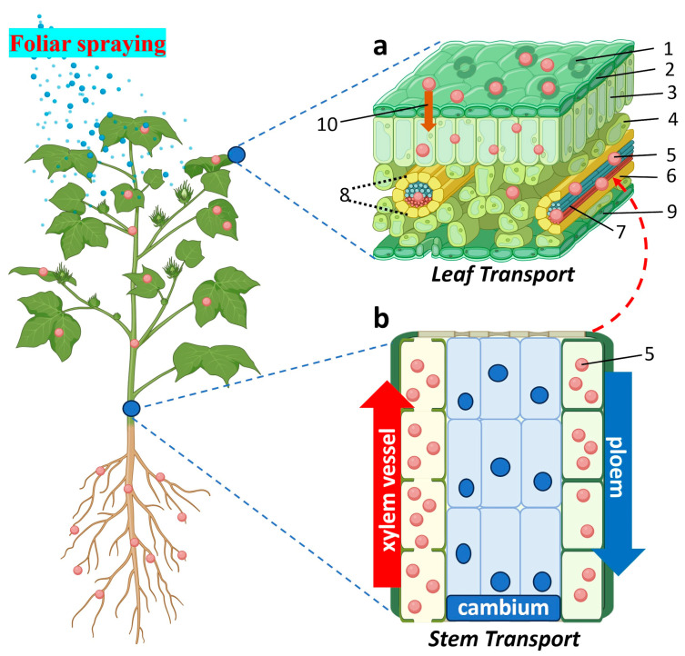 Figure 6