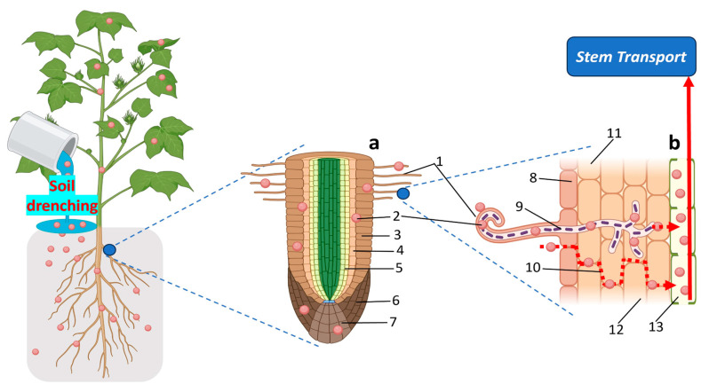 Figure 7
