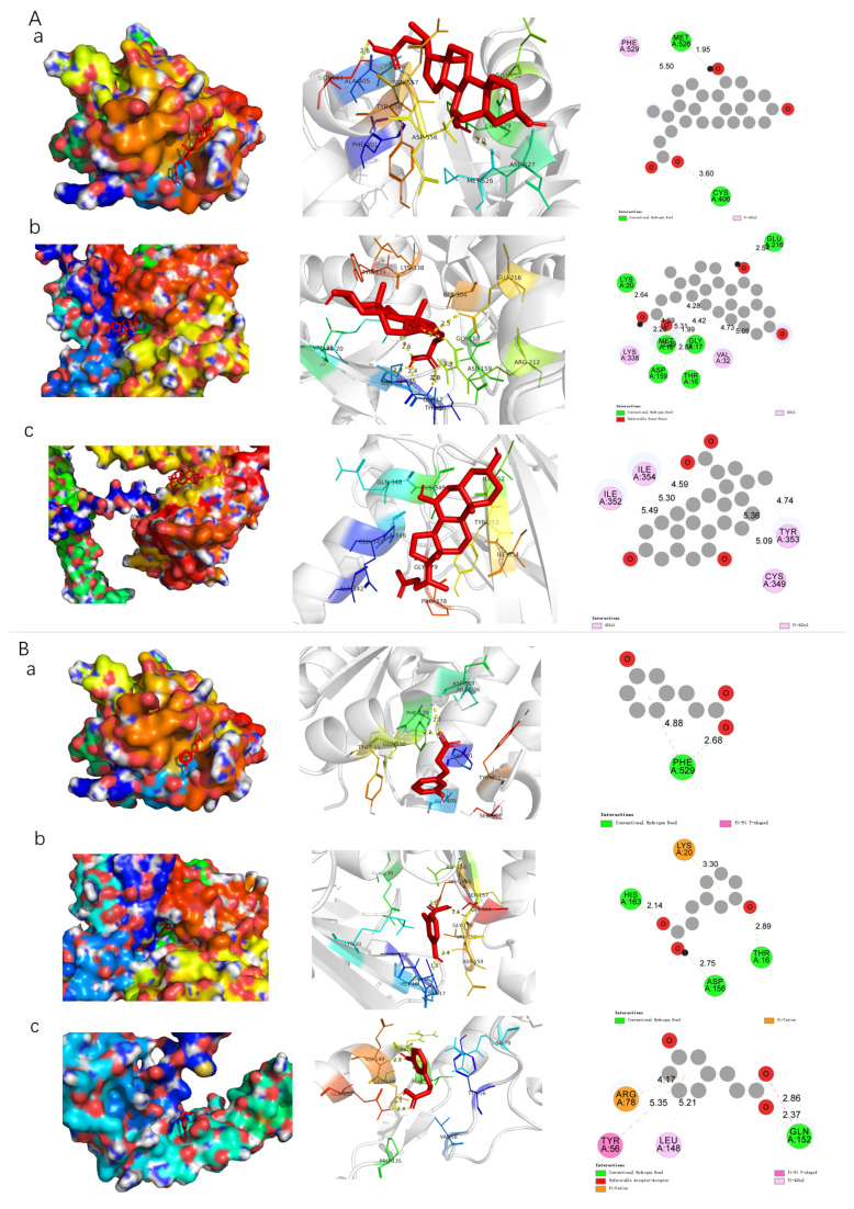 Figure 9