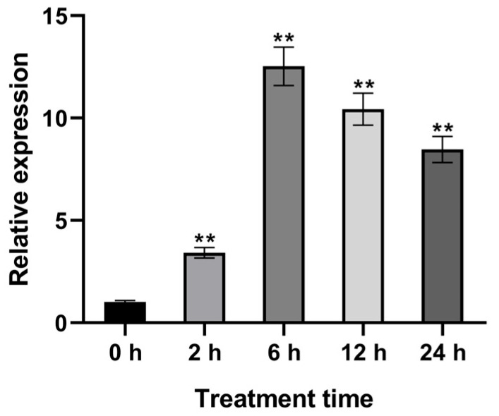 Figure 5