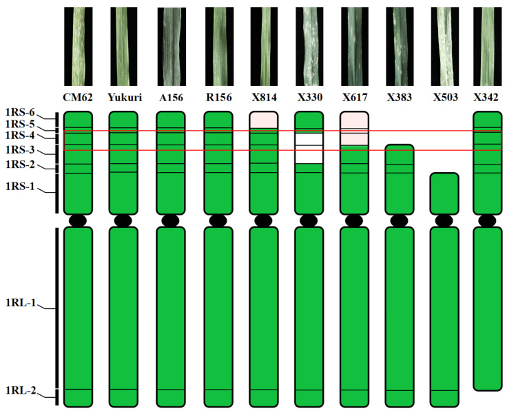 Figure 7