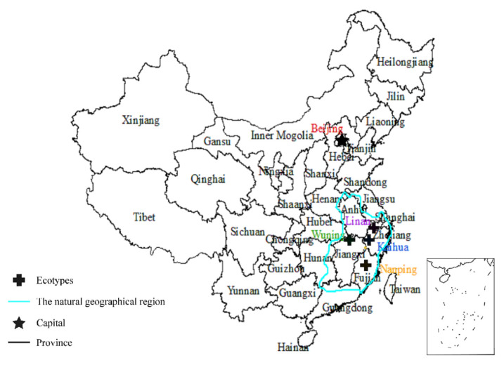 Figure 11