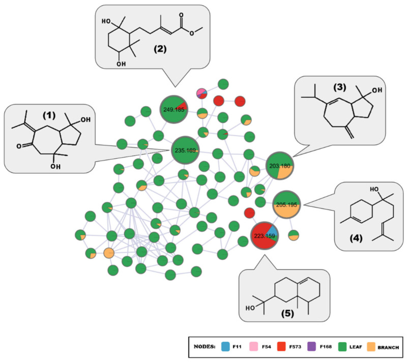 Figure 5